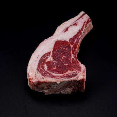 COSTATA BARROSA